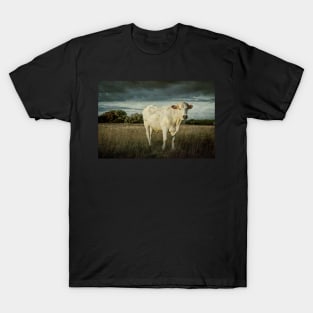 Bullock#10 T-Shirt